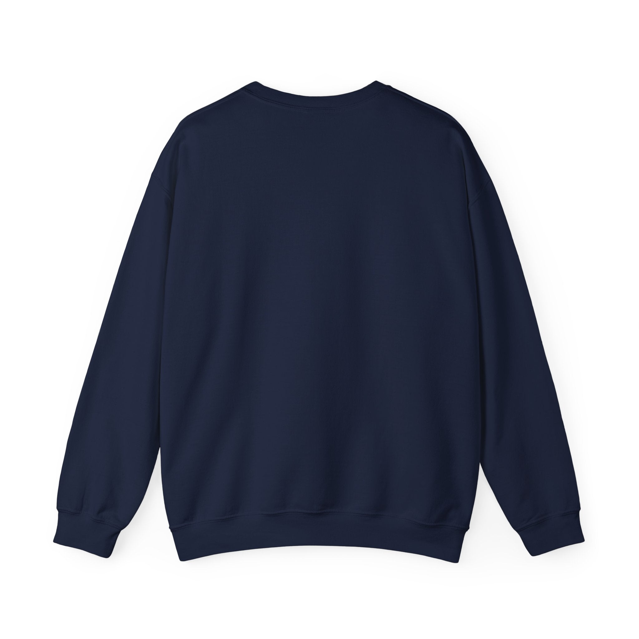 Men's Peak & Swell logo sweater
